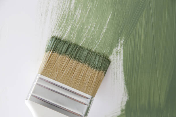 Jacksboro, TX Mold Removal Company