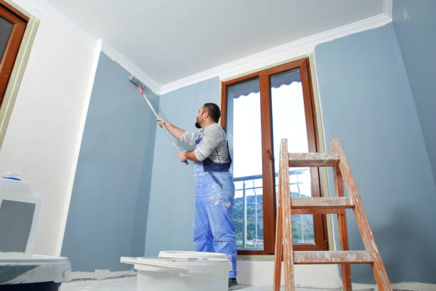 Best Comprehensive Air Testing for Mold Contaminants  in Jacksboro, TX