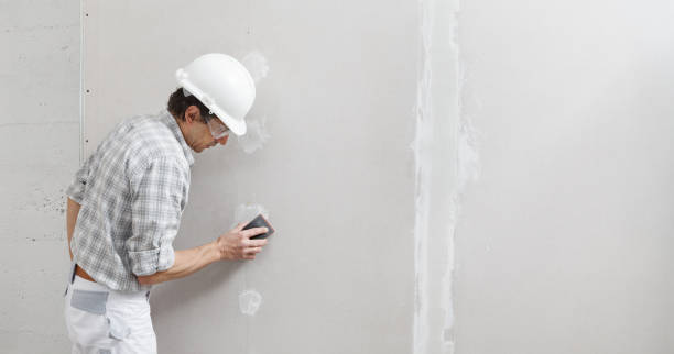 Best Mold-Related Health Consultation  in Jacksboro, TX