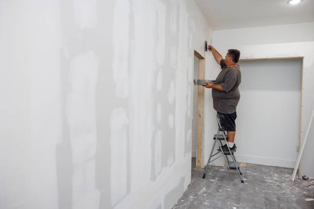 Best Real Estate Mold Inspection  in Jacksboro, TX