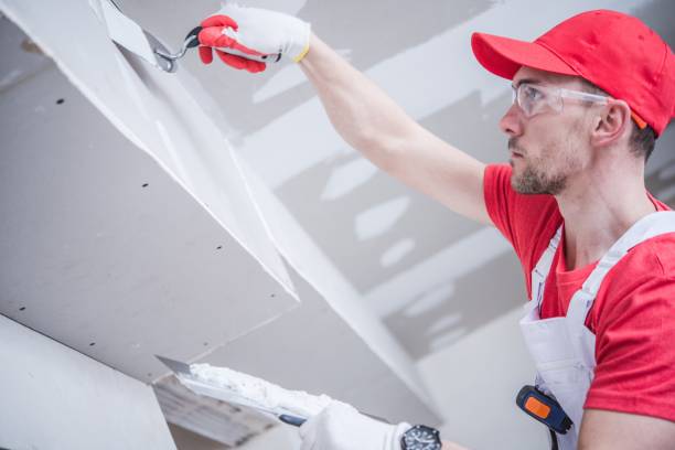 Best Crawl Space Mold Remediation  in Jacksboro, TX